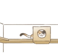箱の中にいる猫イラスト