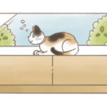 窓の側で寝てる猫イラスト