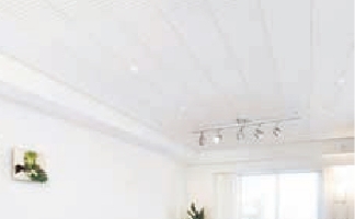 クリアトーン写真