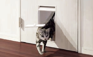 ペットドアの写真