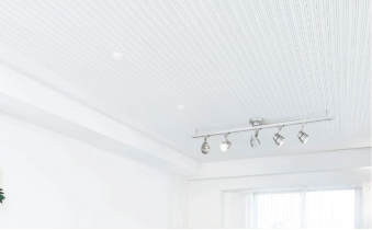 クリアトーン12SⅡ写真