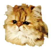 トップイメージ